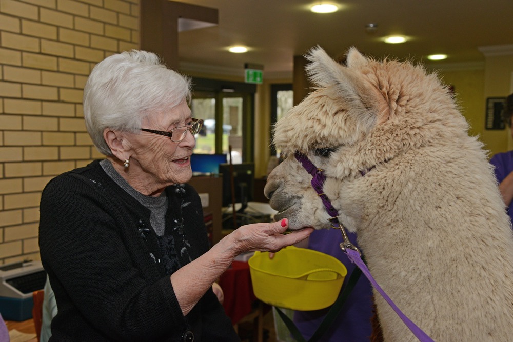 Have you herd about the fun at an Cairdean House?